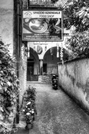 Monte Isola 9