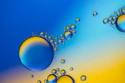 Oil Drops 1