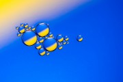 Oil Drops 2