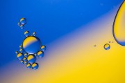Oil Drops 3
