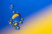 Oil Drops 4