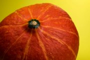 Pumpkin 3