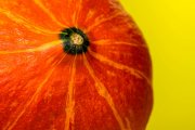 Pumpkin 6