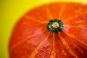 Pumpkin 7