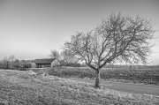 Old Hut 3