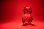 Glass Owl 2
