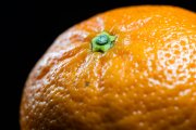 Clementine 5