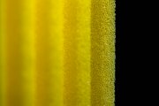 Sponge 2