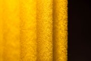 Sponge 3