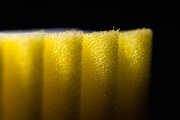 Sponge 4