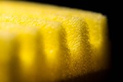 Sponge 5