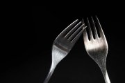 Forks 2
