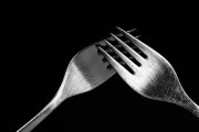 Forks 6