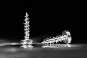 Screws (Focus Stacking) 1