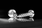 Screws (Focus Stacking) 3