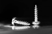 Screws (Focus Stacking) 5
