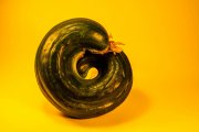 Cucumber 3
