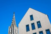 Ulm 6