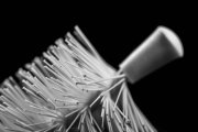 Brush 6