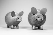 Wooden Pigs 1