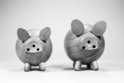 Wooden Pigs 2