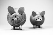 Wooden Pigs 5