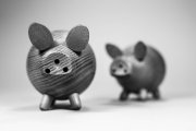 Wooden Pigs 7