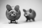 Wooden Pigs 8
