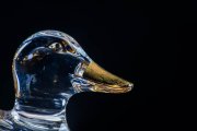 Glass Duck 1