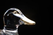 Glass Duck 2