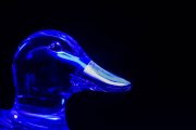 Glass Duck 3