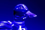 Glass Duck 5