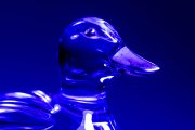 Glass Duck 5