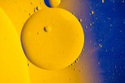 Oil Drops 2