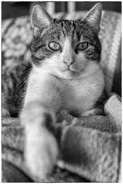 Spock 2