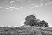 Wooden Hut 1