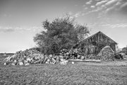 Wooden Hut 4