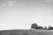 Wooden Hut 6