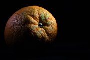 Orange 2