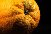 Orange 4
