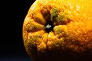 Orange 5