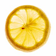 Lemon Slice 1