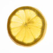 Lemon Slice 4