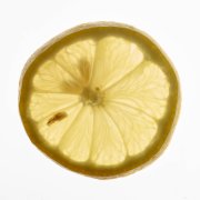 Lemon Slice 5