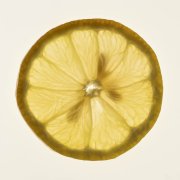 Lemon Slice 7