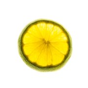 Lime Slice 1