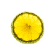 Lime Slice 1