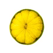 Lime Slice 3