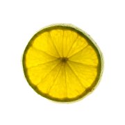 Lime Slice 4