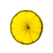 Lime Slice 5